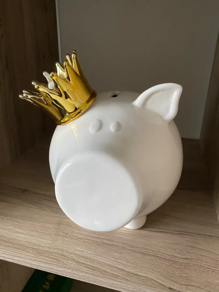 Large Ceramic Piggy Bank photo 1