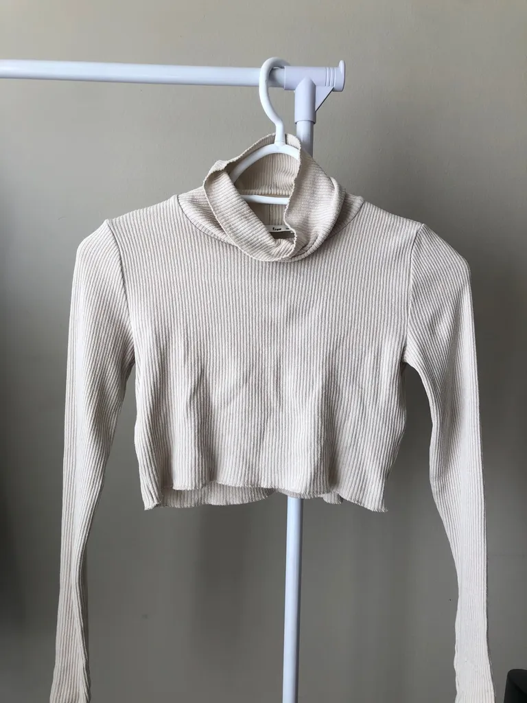 Aritzia Cropped Turtle Neck Top photo 1