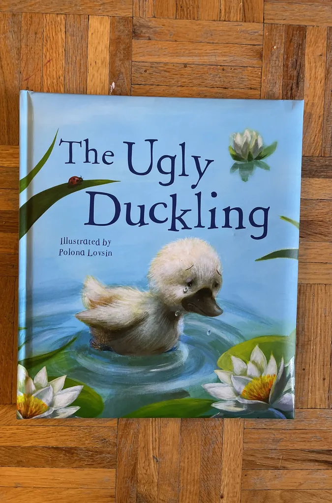 The Ugly Duck Book photo 1