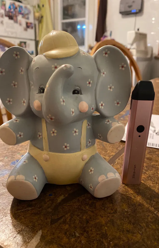 Elephant coin bank photo 1