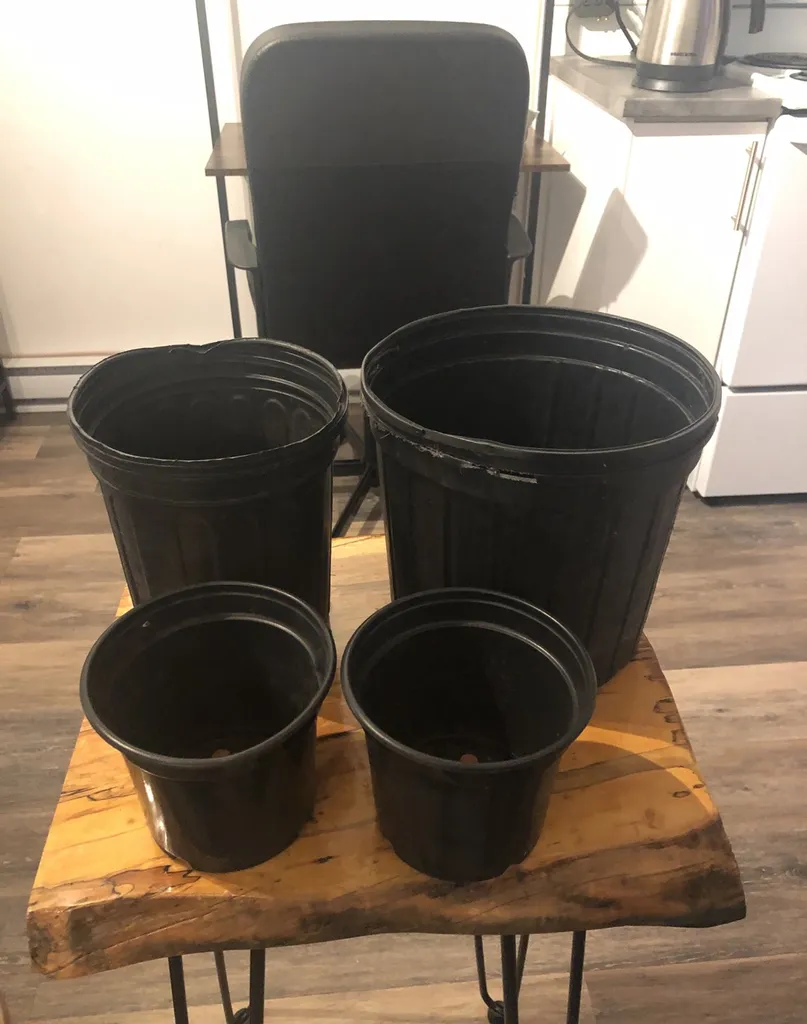 Plastic Plant Potters photo 1