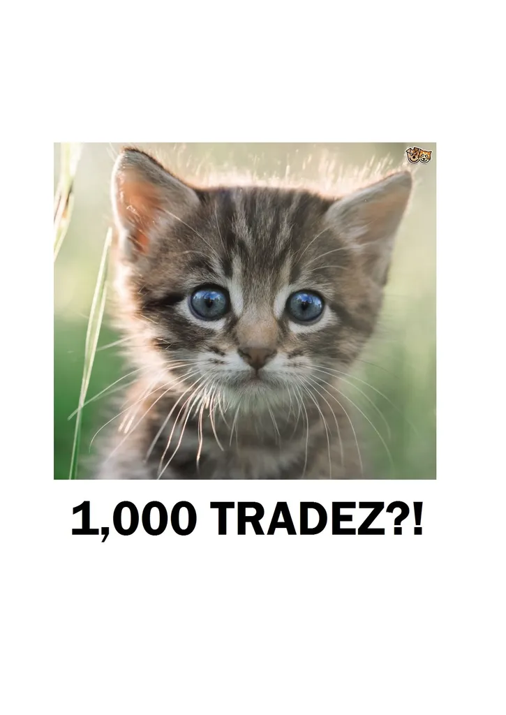 A Journey of a Thousand Trades Begins With A Single Step photo 1