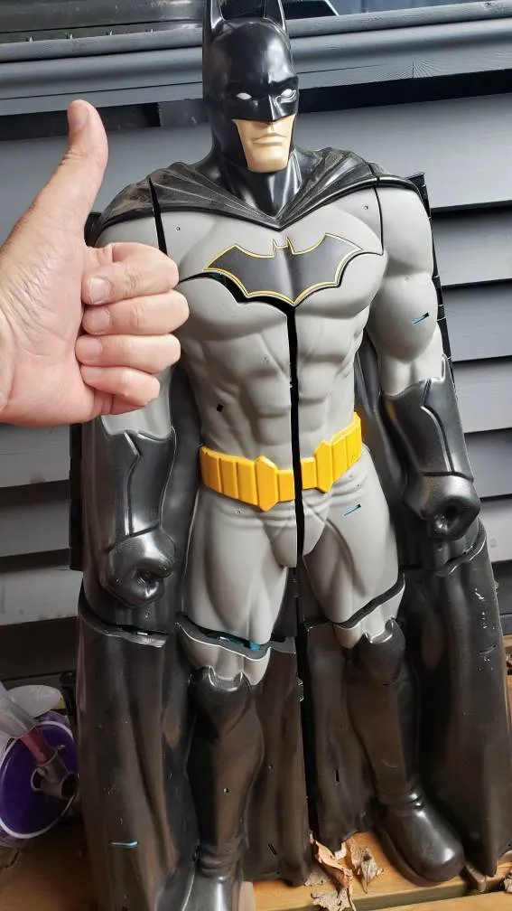 Massive BATMAN Play Structure photo 1