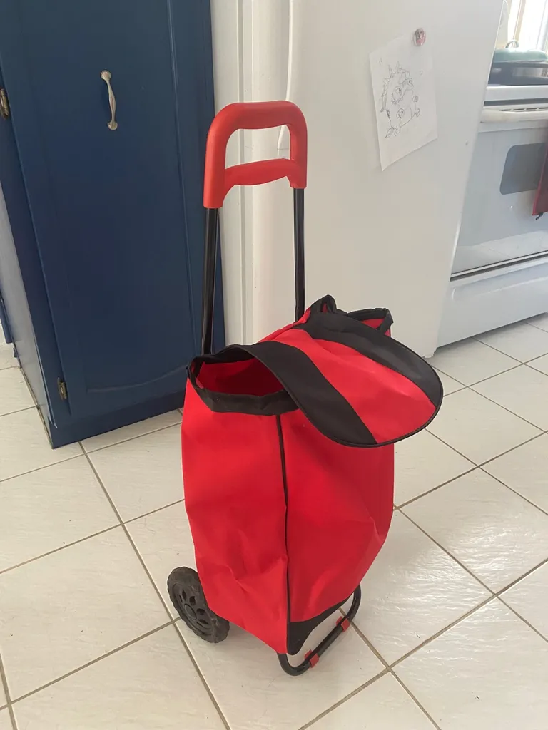 Rolling Grocery Cart photo 1