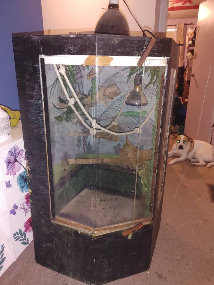 Very Large Reptile Enclosure photo 1