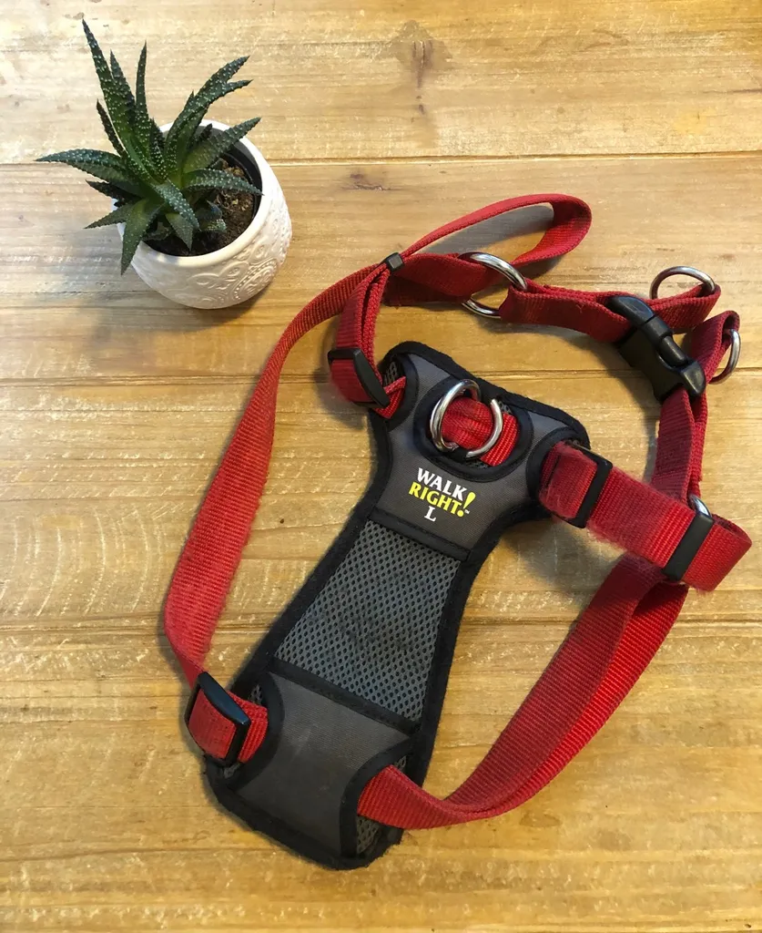 Dog Harness - Large photo 1