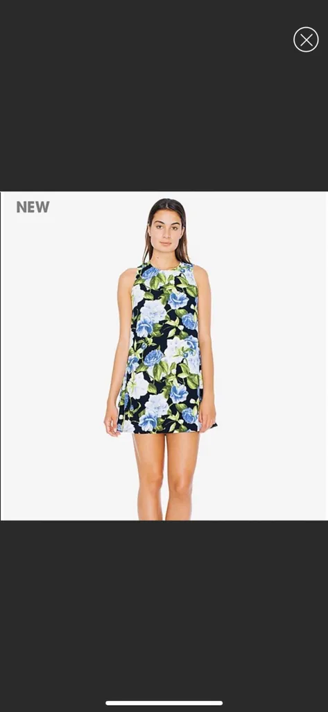 American Apparel Dakota Dress photo 1