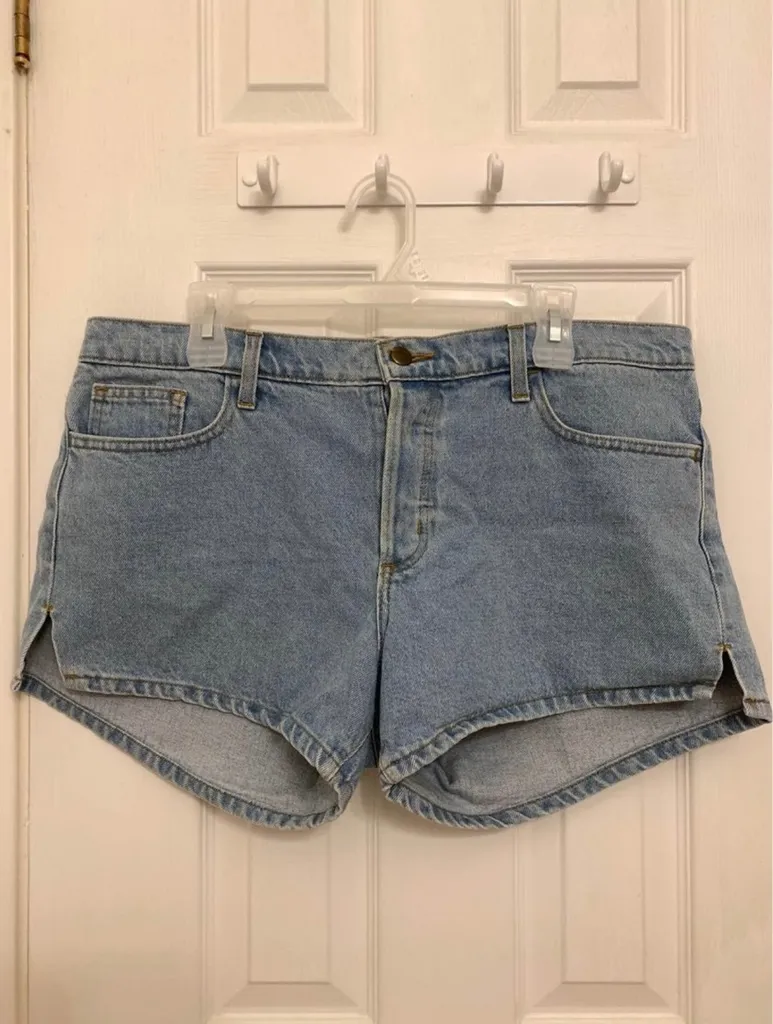 American Apparel Shorts photo 1