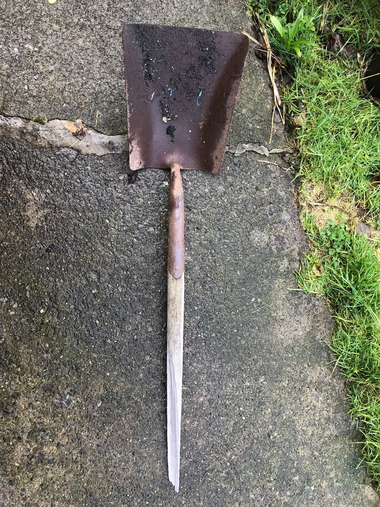 Shovel photo 1
