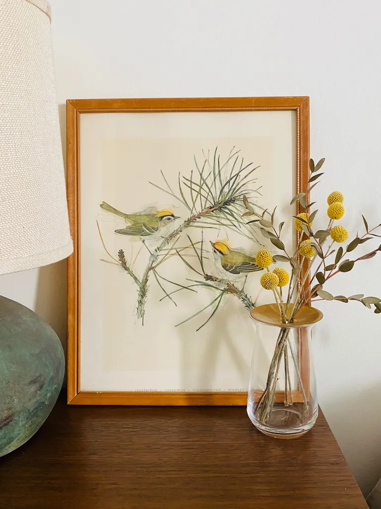 Framed Print photo 1