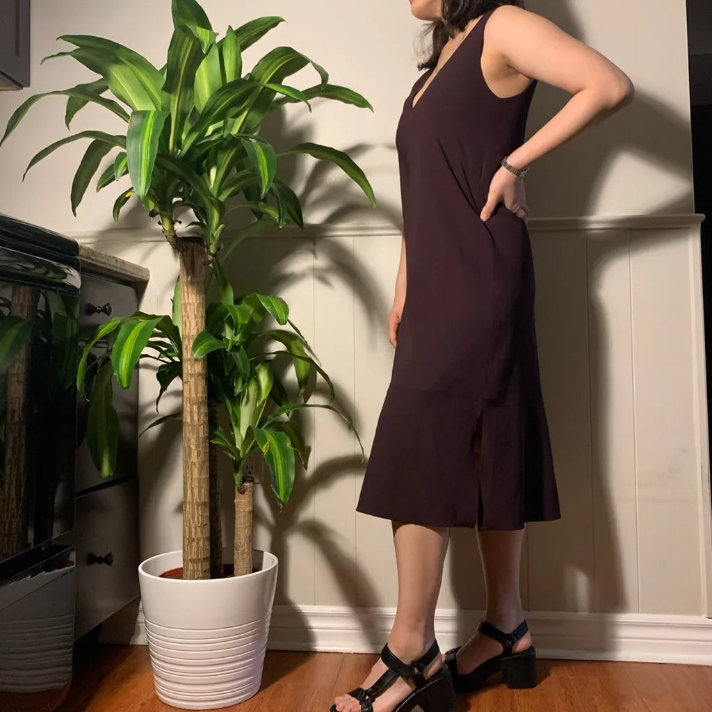 Babaton\wilfred MIDI Dress photo 1