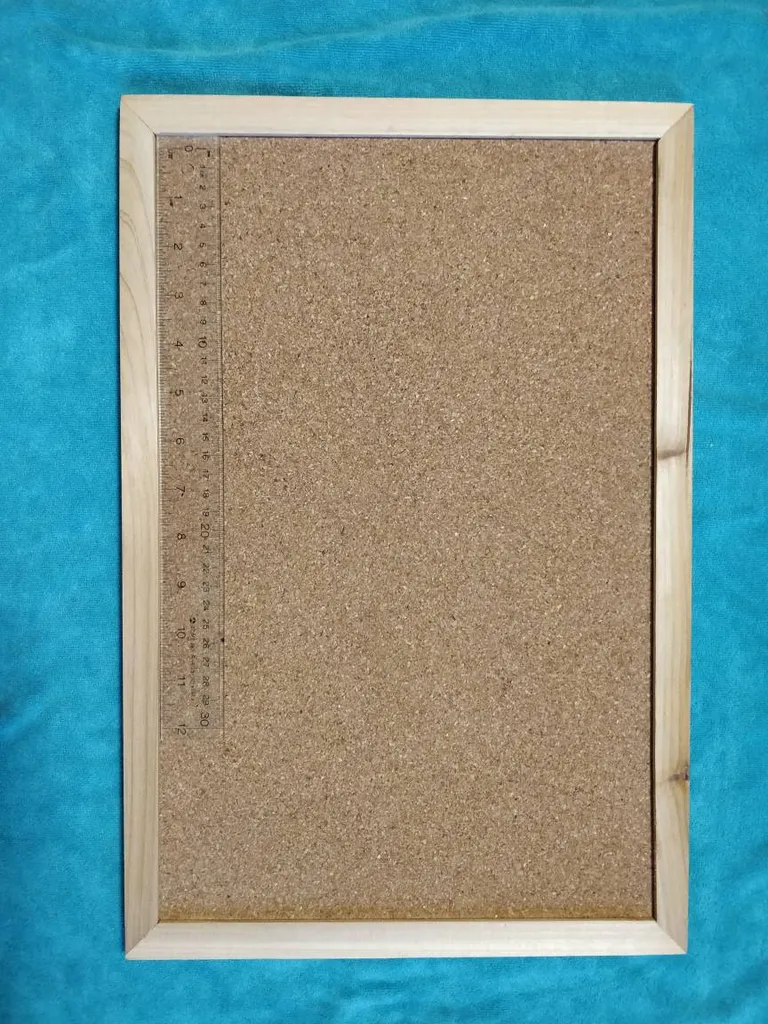 BN Corkboard photo 1