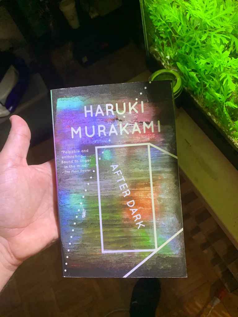 Haruki Murakami - After Dark photo 1