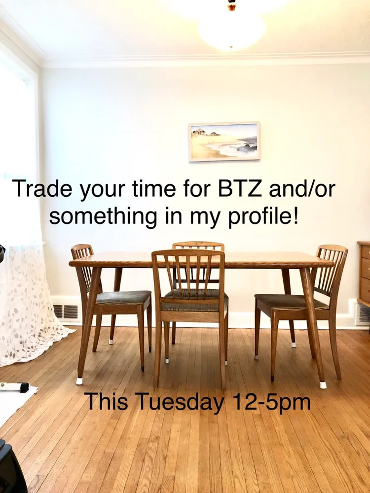 Trade Your Time For BTZ And Or Something In My Profile! photo 1