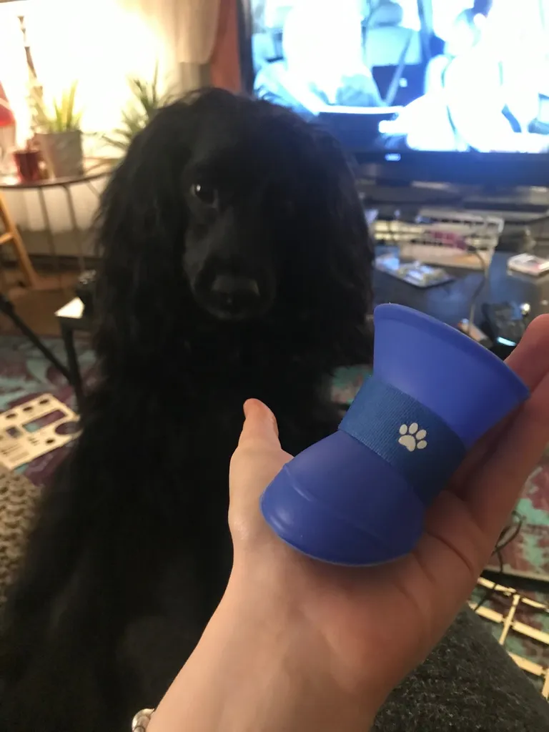 Puppy Booties photo 1