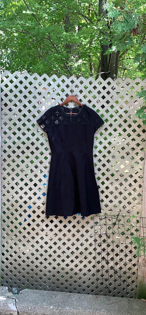 J Crew Dress photo 1