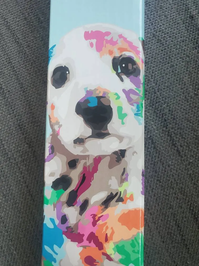 Paint-by-Number Kit photo 1