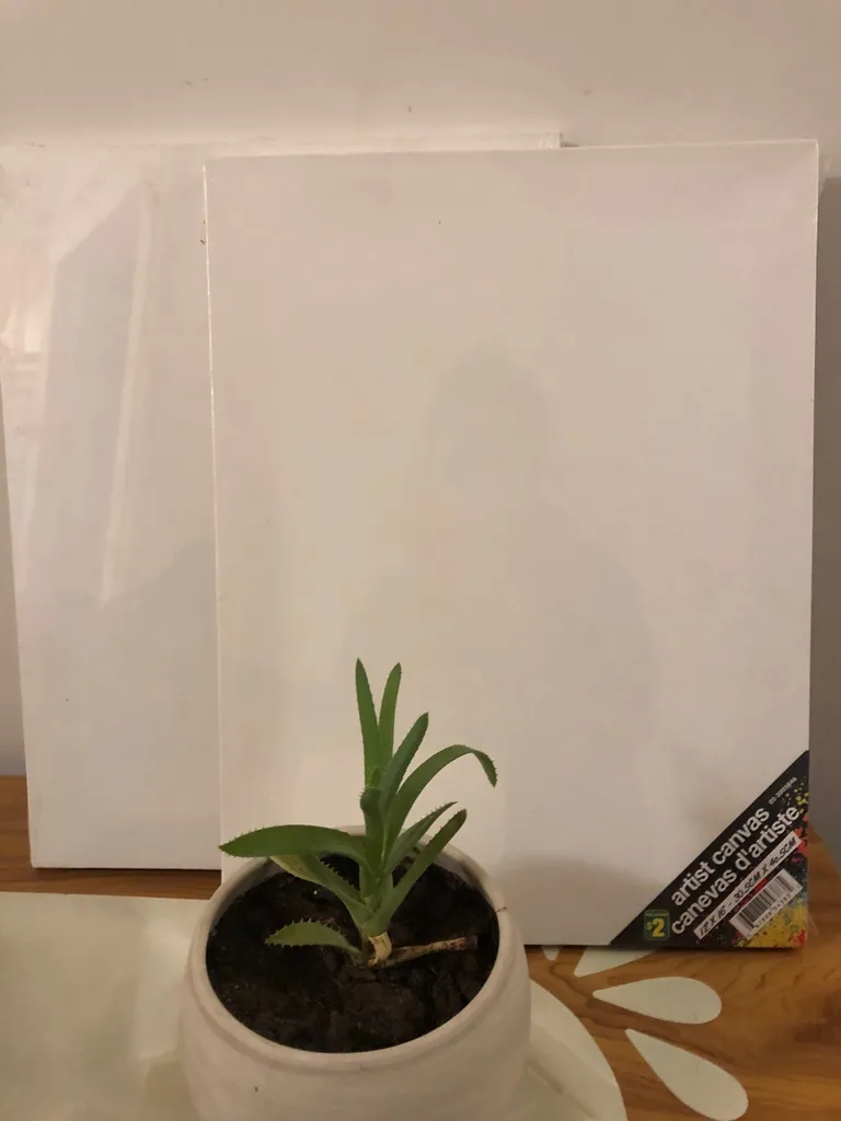 3 Art Canvases photo 1