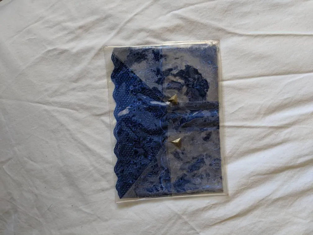 ✨ FREE - Blue Lace And Clear PVC Pouch photo 1