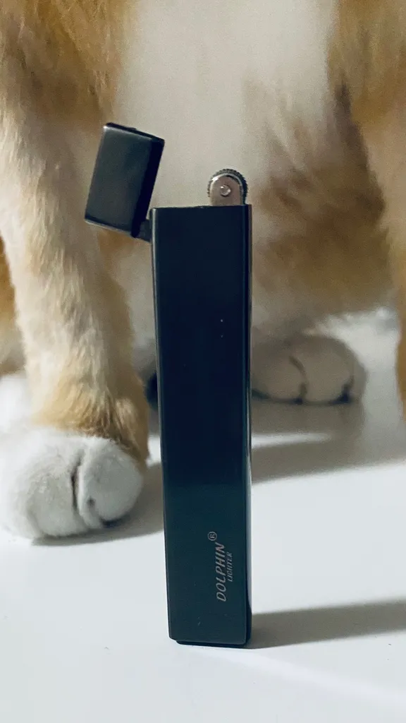 Dolphin Butane Lighter - Thin & Sleek (Black) photo 1