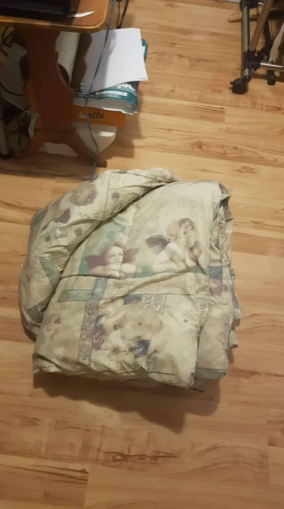 Raphael's angels duvet photo 1