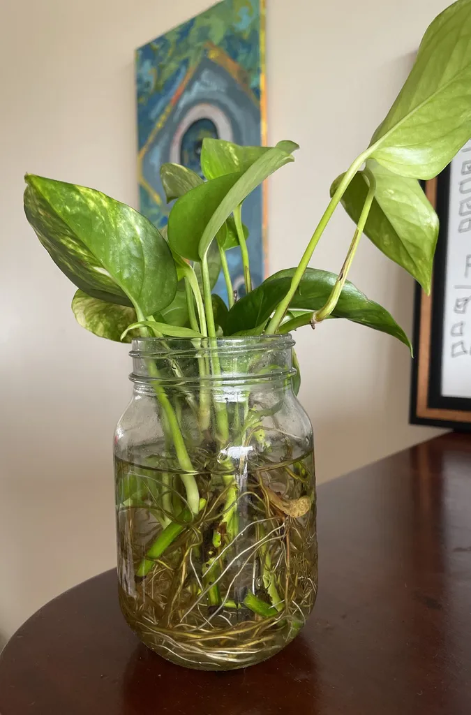 Pathos Clippings photo 1