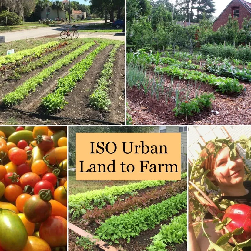 Free Veggies + Landscaping in Exchange for Land photo 1