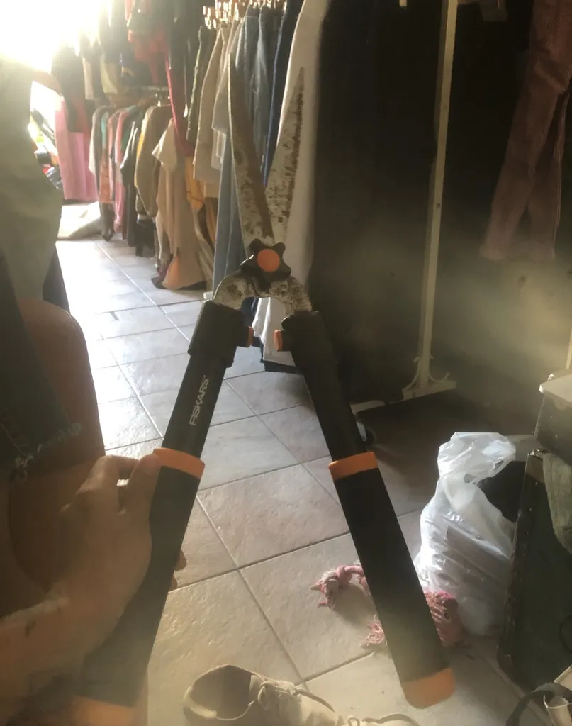 Garden Scissors photo 1