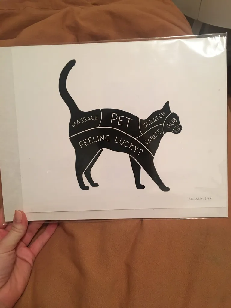 Cute Cat Print photo 1