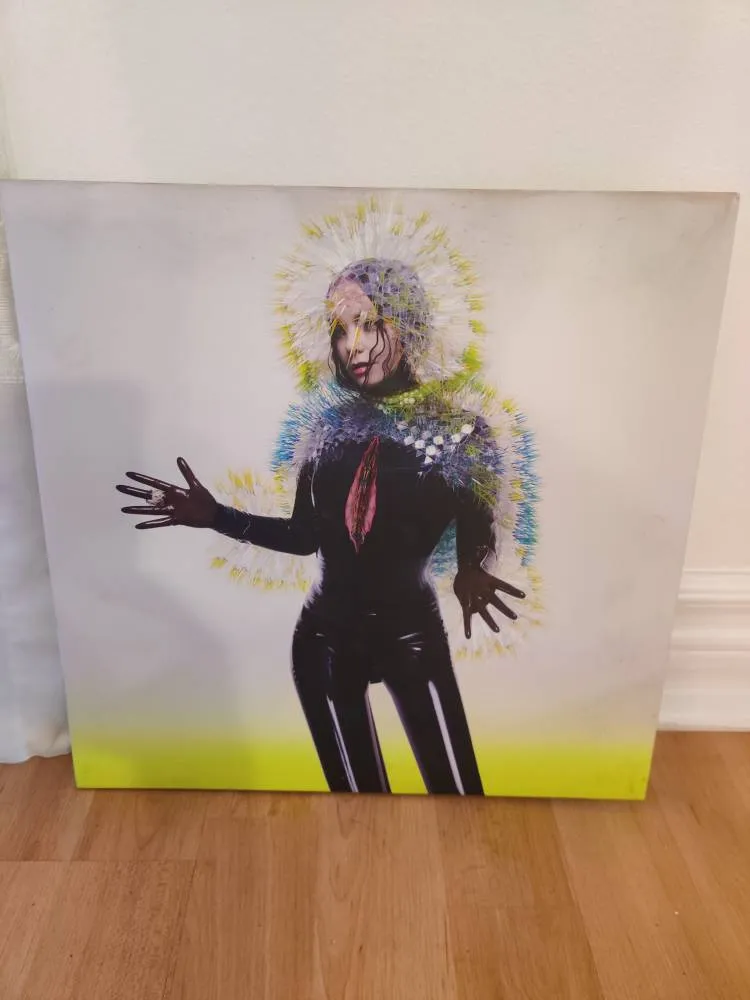 Bjork Record photo 1