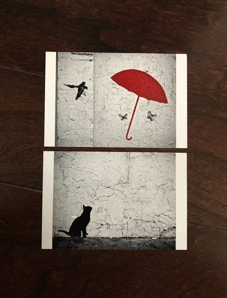 🎁“Cat In Paris” - Photo Print Set 4x6 photo 1