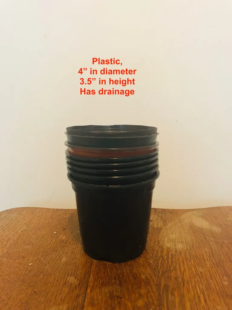 Plant Pots (continued) photo 1