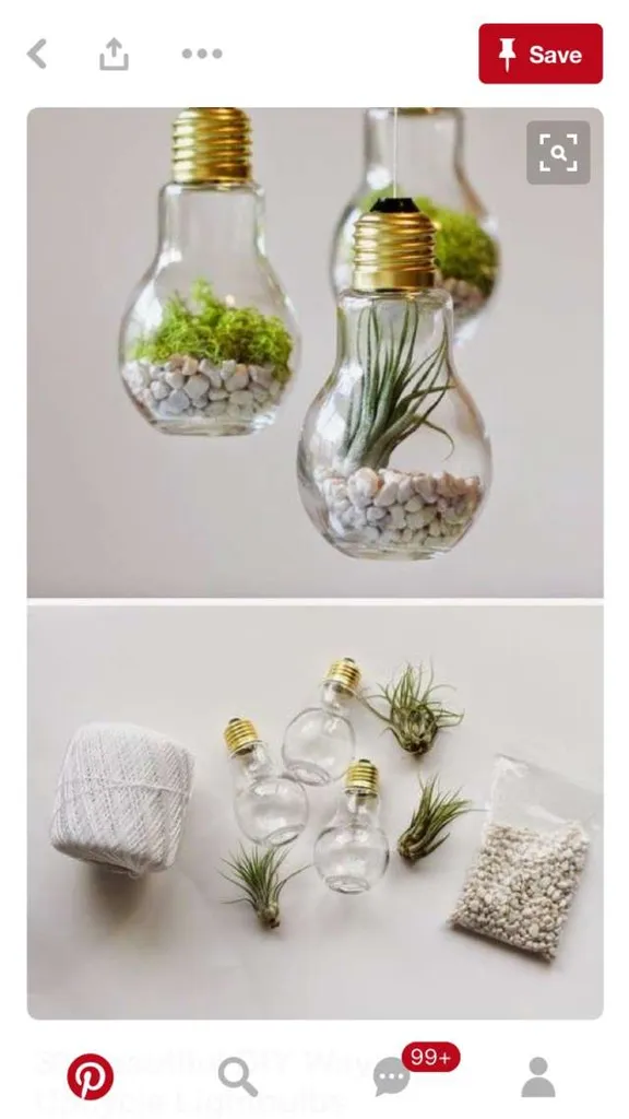 70 Glass Light Bulb Bottles photo 1