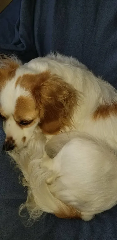 Trading In The West end photo 1