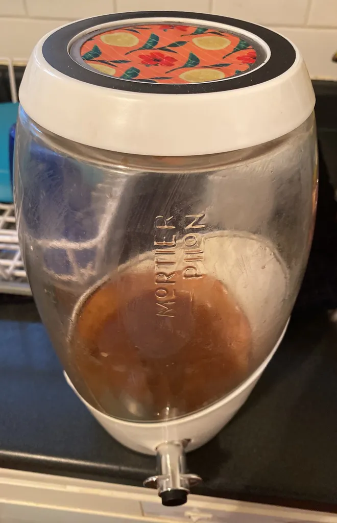 Health Scoby And Container photo 1