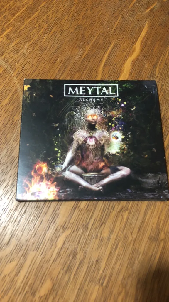 MEYTAL COHEN photo 1