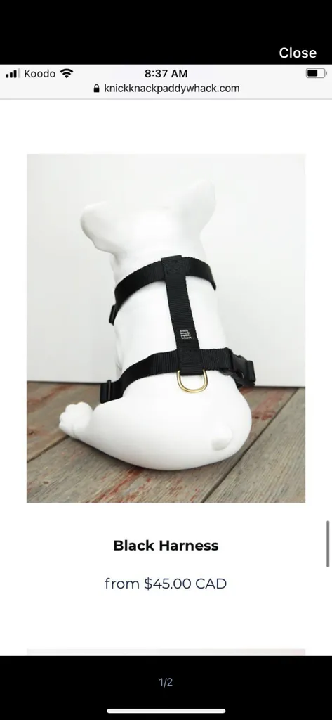 Knick Knack Paddy Whack Dog Harness photo 1