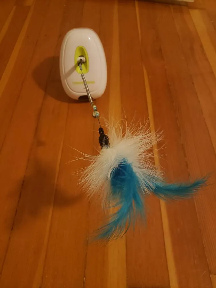 Motion Sensor Cat Toy photo 1