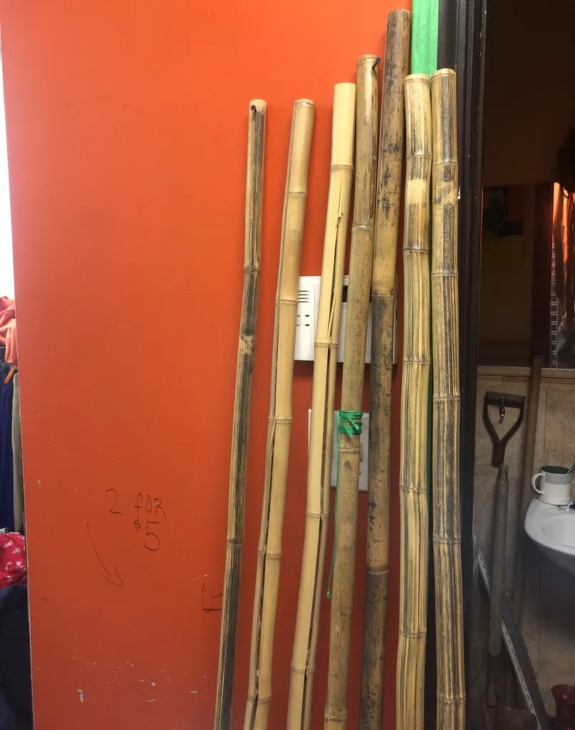 7 Bamboo Sticks photo 1