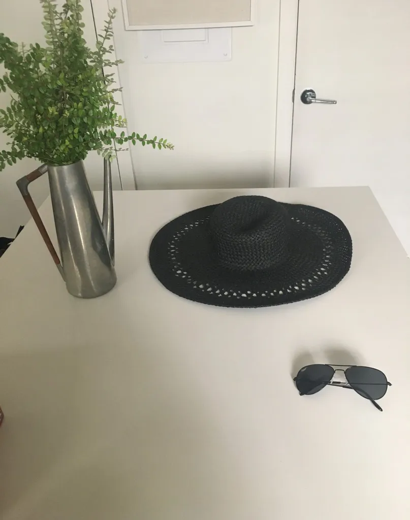 Hat And Sunnies photo 1