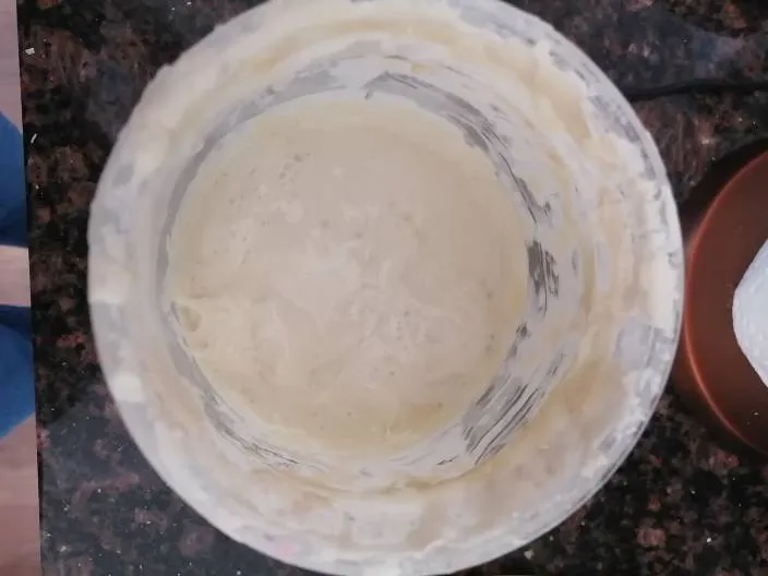 *Free* Sourdough Starter photo 1