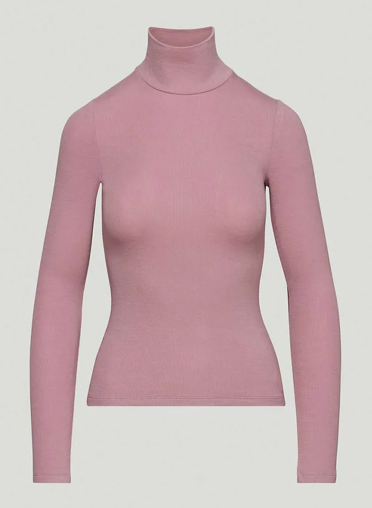 Aritzia Wilfred Only Turtleneck photo 1