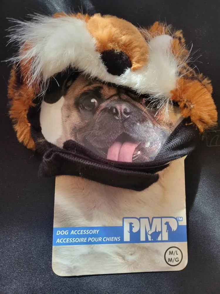 Dog Halloween Outfit photo 1