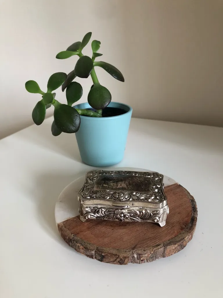 Vintage Silver Box photo 1