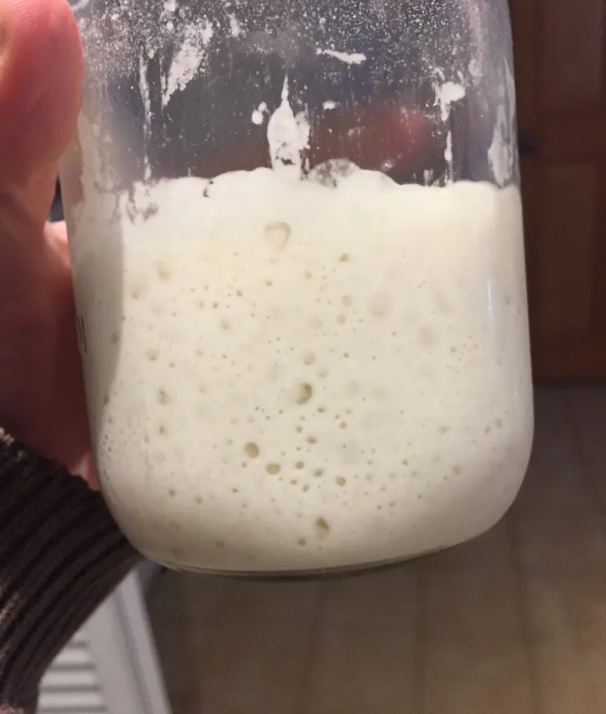 Very Active Sourdough Starter! photo 1