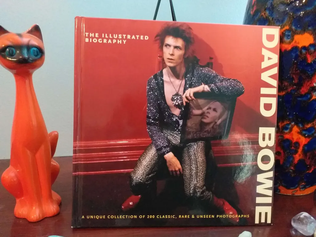 David Bowie Illustrated biography hardcover book Gareth Thomas photo 1
