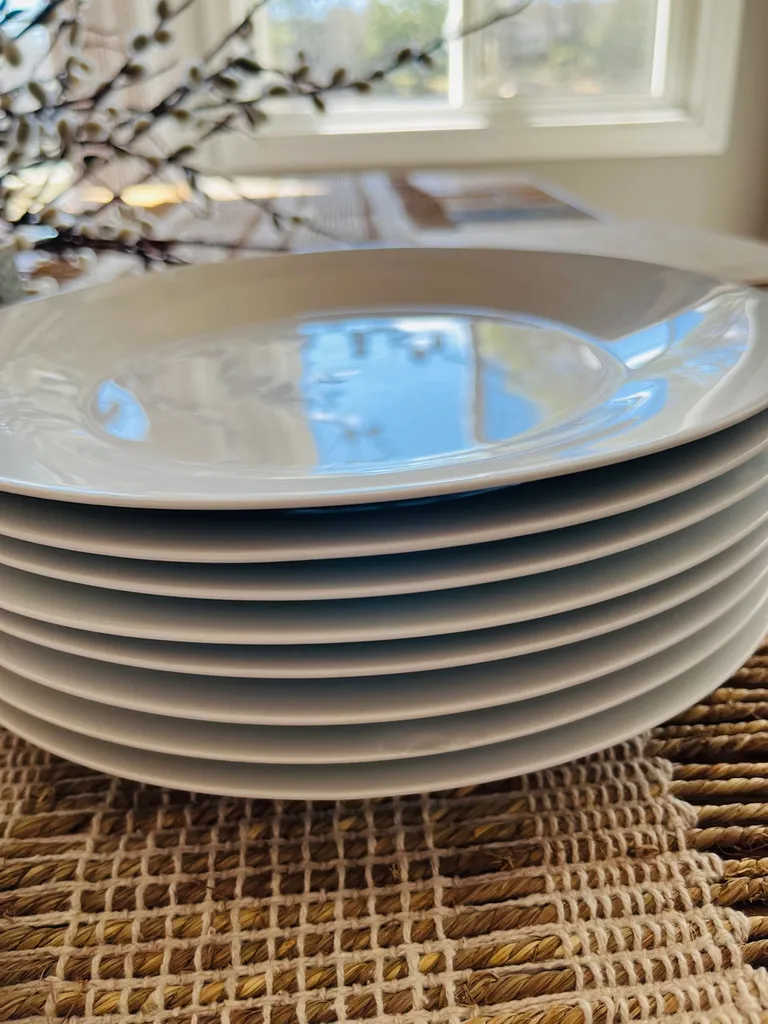 Dinner Plates photo 1