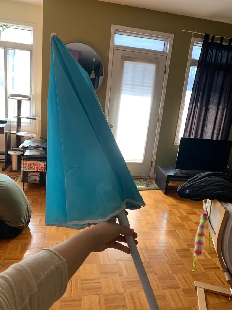 Beach Umbrella photo 1