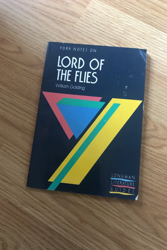 Lord Of The Flies Coles Notes! photo 1