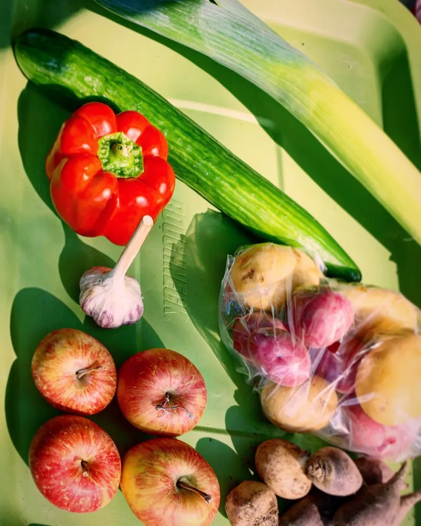 Weekly Or Biweekly Veggie Box photo 1